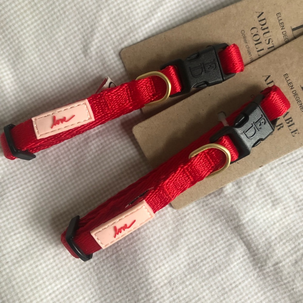 XS Red Dog Collar - ♥️ love ♥️
